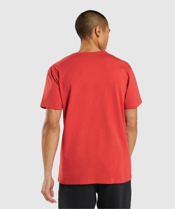 Panske Tricka Gymshark Sharkhead Infill Červené | NY2194036